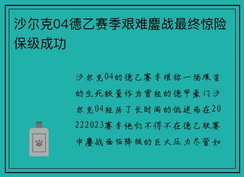 沙尔克04德乙赛季艰难鏖战最终惊险保级成功